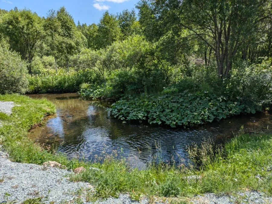 Летняя фотография базы