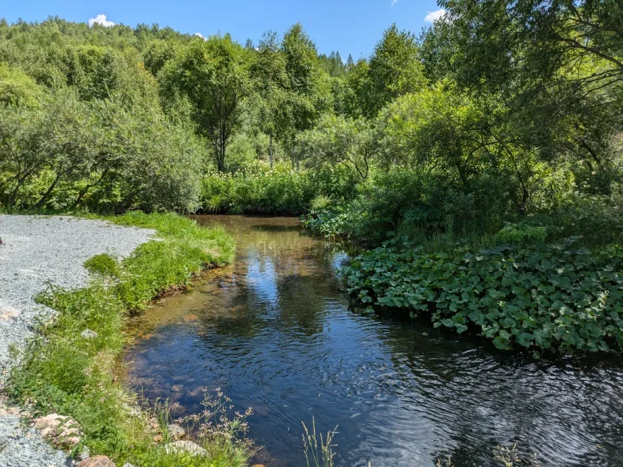 Летняя фотография базы
