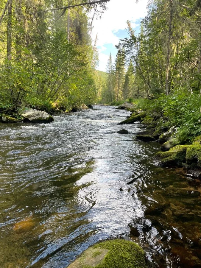 Летняя фотография базы